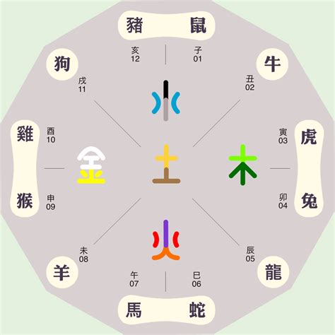 雅字五行|雅的五行属性是什么